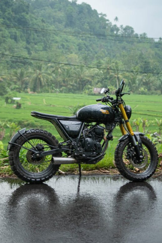 MM10 Yamaha Scorpio 225